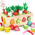 Montessori Vegetable Shape Sorter