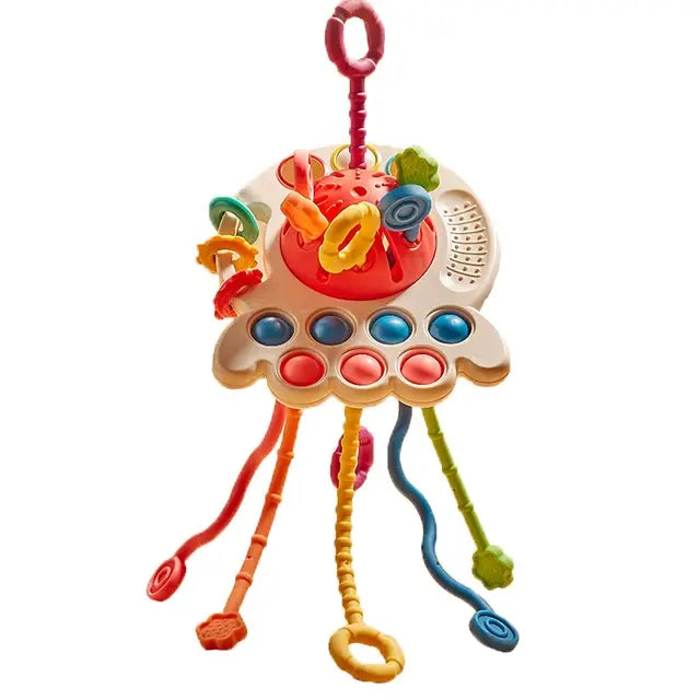 Montessori Sensory & Teething Toy